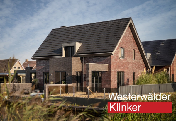 Кирпич клинкерный WesterWaelder Klinker WK810 Violettblau geflammt, 290*90*40мм