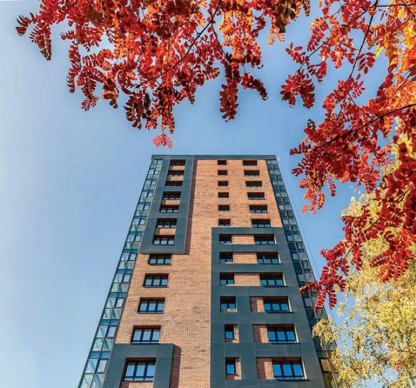 Клинкерная плитка EDELHAUS Кольдинг, 290х50х20 мм
